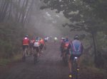 tolox 2008 055.jpg