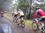 tolox 2008 058.jpg