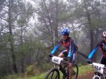 tolox 2008 059.jpg