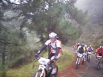 tolox 2008 061.jpg