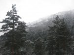 segovia34.JPG