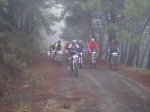 tolox 2008 067.jpg