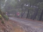 tolox 2008 082.jpg