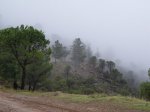 tolox 2008 087.jpg
