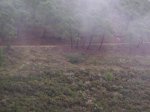 tolox 2008 098.jpg