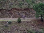 tolox 2008 103.jpg