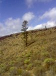 Imagen033.jpg