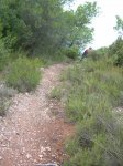 DSCN5879.jpg