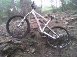 lapi.jpg