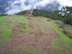 tolox 2008 113.jpg