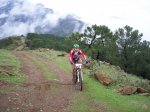 tolox 2008 115.jpg