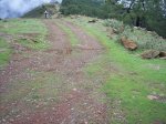 tolox 2008 116.jpg