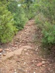 DSCN5847.jpg