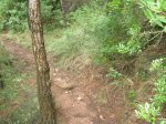 DSCN5813.jpg