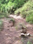 DSCN5750.jpg