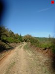 foromtb_image_26oct_02_num.jpg