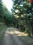 foromtb_image_26oct_03_num.jpg