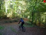 foromtb_image_26oct_04_num.jpg