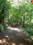 foromtb_image_26oct_05_num.jpg