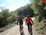 foromtb_image_26oct_13_num.jpg