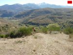 foromtb_image_26oct_22_num.jpg