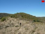 foromtb_image_26oct_23_num.jpg