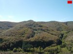 foromtb_image_26oct_24_num.jpg