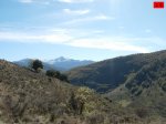 foromtb_image_26oct_25_num.jpg