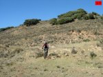 foromtb_image_26oct_27_num.jpg