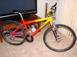 DSC07512.jpg