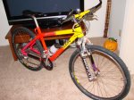 DSC07513.jpg