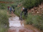 che q plou 022.jpg
