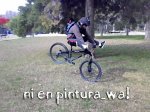pingada.jpg