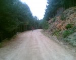 Imagen282.jpg