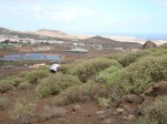 DSC01060.JPG