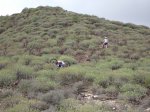 DSC01066.JPG