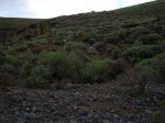 DSC01072.JPG