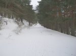 P1010008.JPG