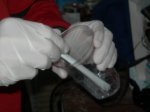 DSCN0128.jpg