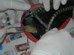 DSCN0129.jpg