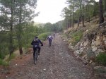 centenera-penca 012.jpg