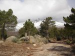 centenera-penca 013.jpg