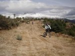 centenera-penca 020.jpg