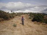 centenera-penca 021.jpg