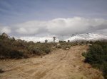 centenera-penca 022.jpg