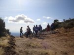 centenera-penca 023.jpg