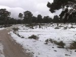 02112008050.jpg