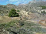 IMAGE_00646.jpg
