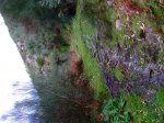 Rutita 043 (Medium).jpg