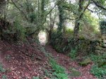 DSCN0578 (Large).JPG